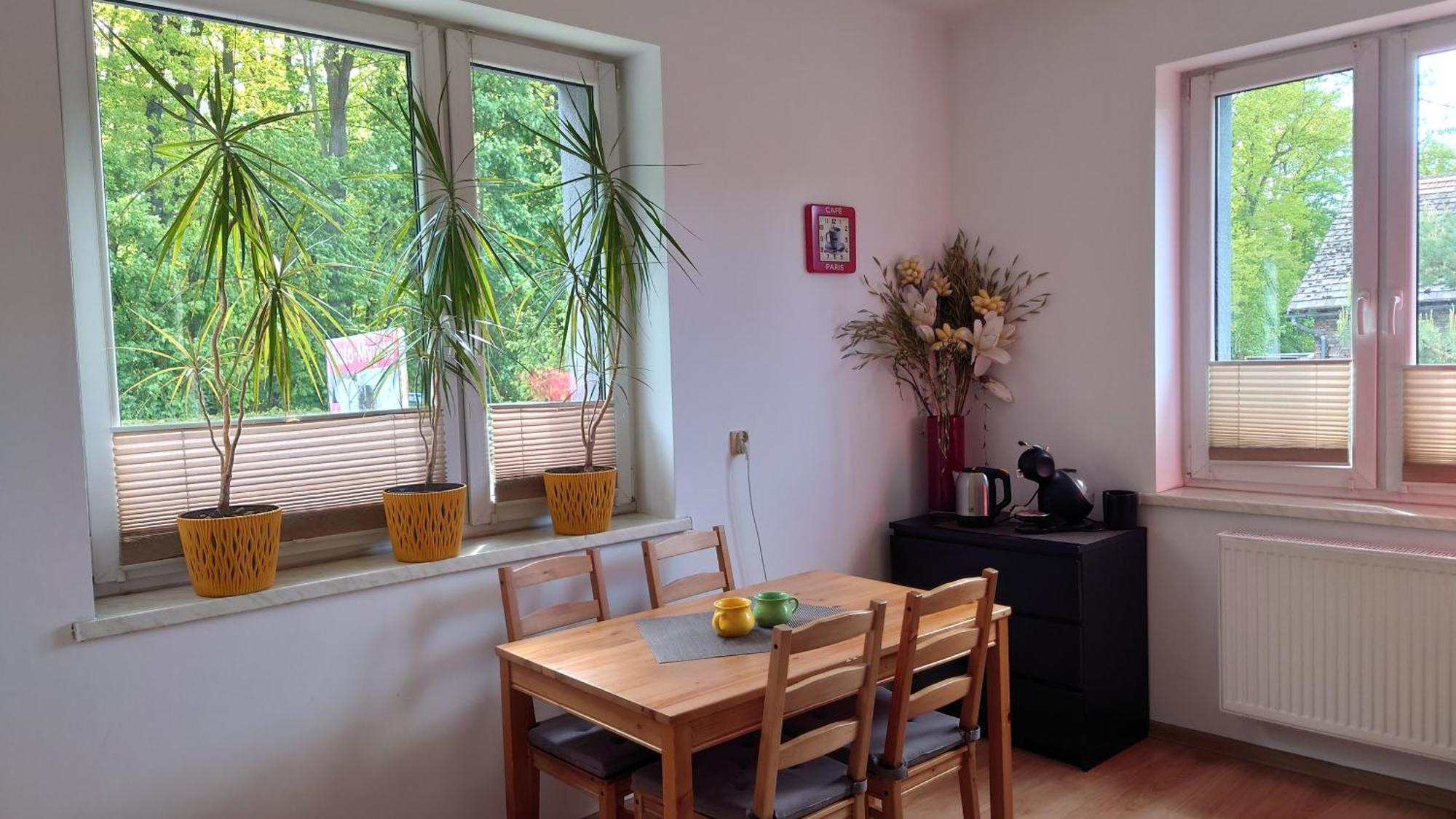 Apartament Natalia Живец Экстерьер фото